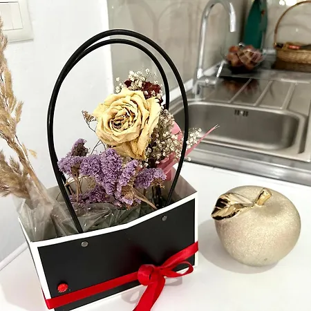 Shell Hom Apartament *