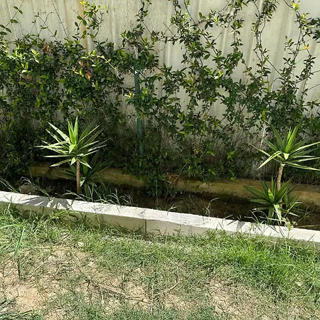 Shell Hom * Golem (Tirana)