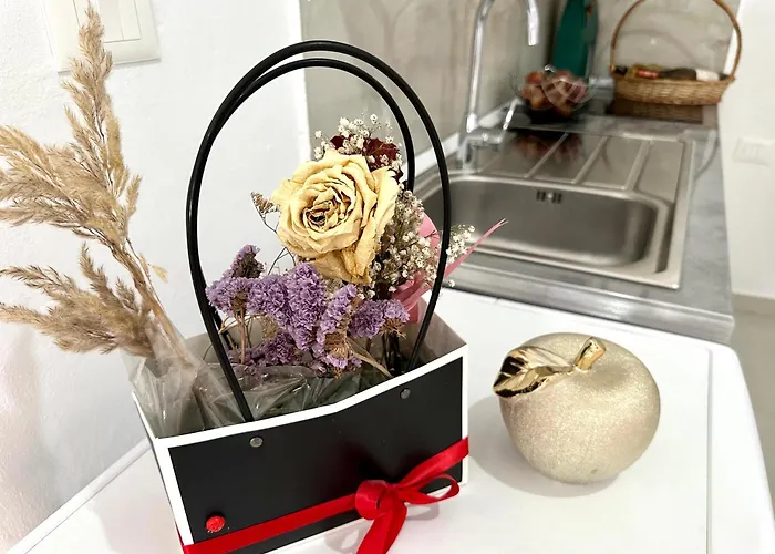 Shell Hom Appartement *